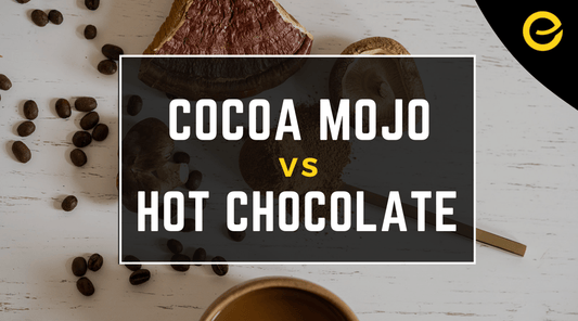 The Cocoa Mojo Difference vs Hot Chocolate - EnerHealth Botanicals