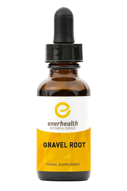 Gravel Root Extract - EnerHealth Botanicals