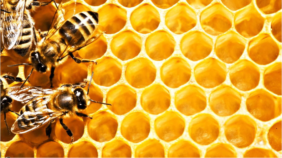 Honey & Propolis Throat Spray - EnerHealth Botanicals
