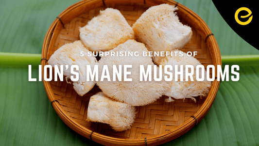 5 Surprising Benefits of Lion's Mane Mushrooms - EnerHealth Botanicals