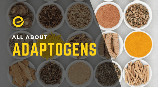 All About Adaptogens: What Are Adaptogens and What Do They Do - EnerHealth Botanicals