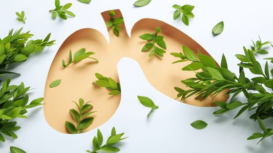Enhancing Lung Health with Herbal Remedies using 7 different herbs - EnerHealth Botanicals