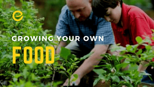 Growing Your Own Food - EnerHealth Botanicals