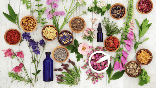 Herbalism: Unlocking Nature's Healing Power - EnerHealth Botanicals