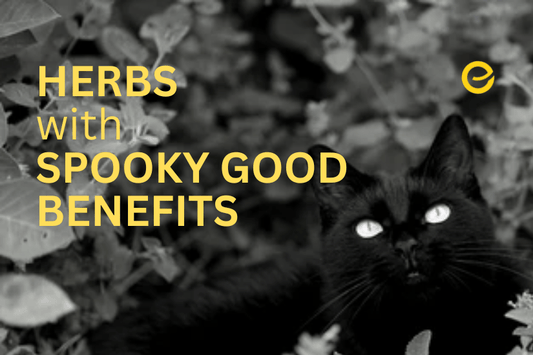 Herbs with Spooky-Good Benefits - EnerHealth Botanicals