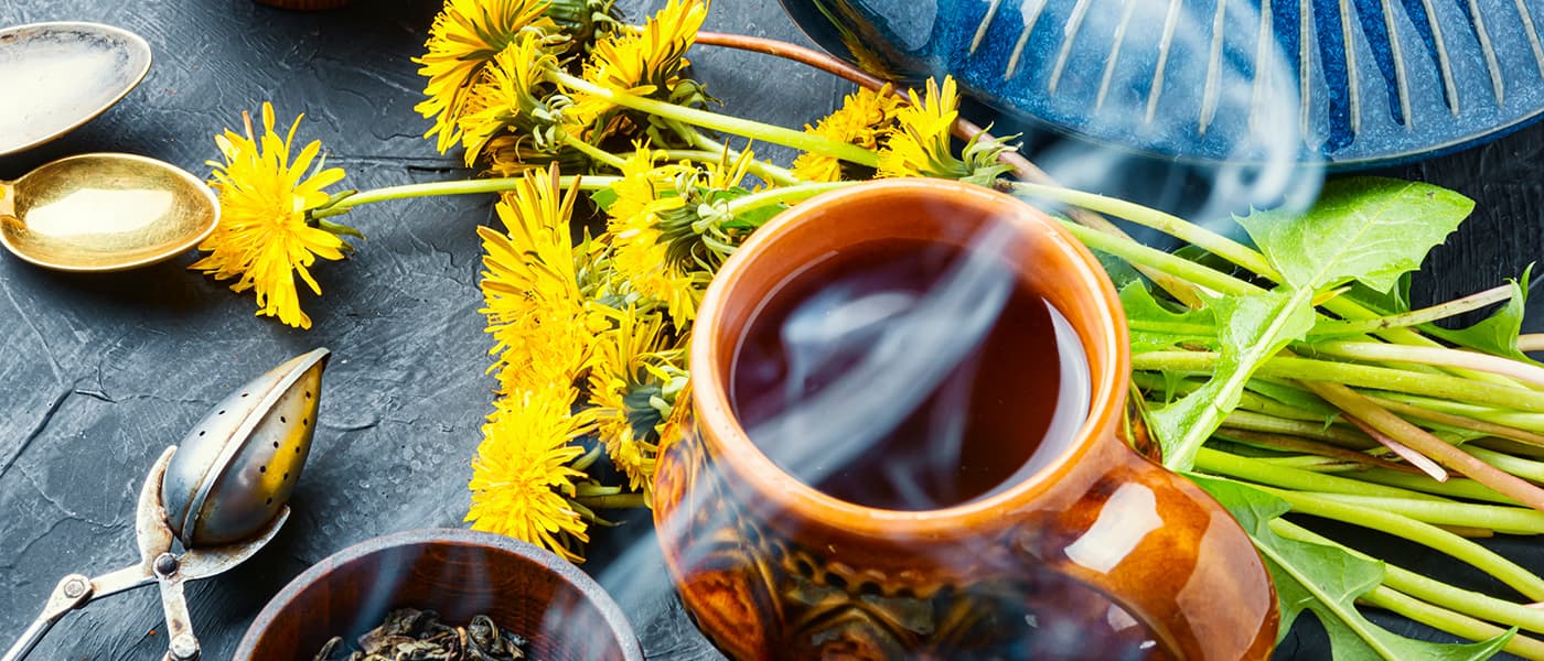 Potential Benefits of Dandelion Leaf and Root - EnerHealth Botanicals