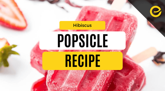 Reishi Hibiscus Popsicle Recipe - EnerHealth Botanicals
