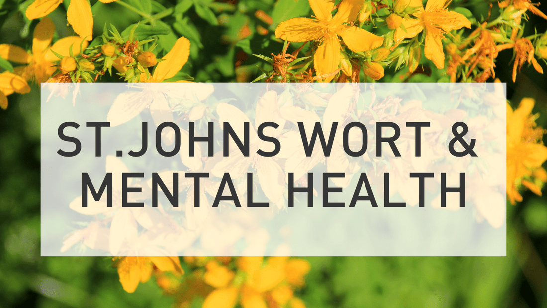 St. John's Wort & Mental Health - EnerHealth Botanicals