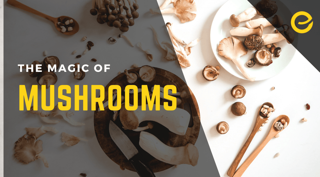 The Magic of Mushrooms - EnerHealth Botanicals