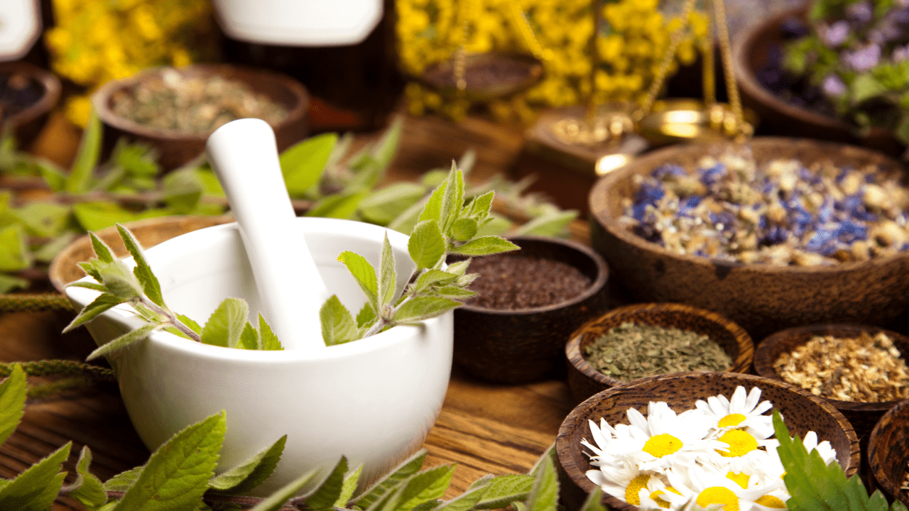 Understanding Enerhealth Botanical's Herbal Extraction Process - EnerHealth Botanicals