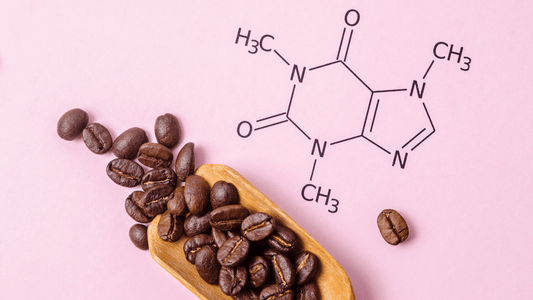 What is Caffeine and How Does it Work? - EnerHealth Botanicals