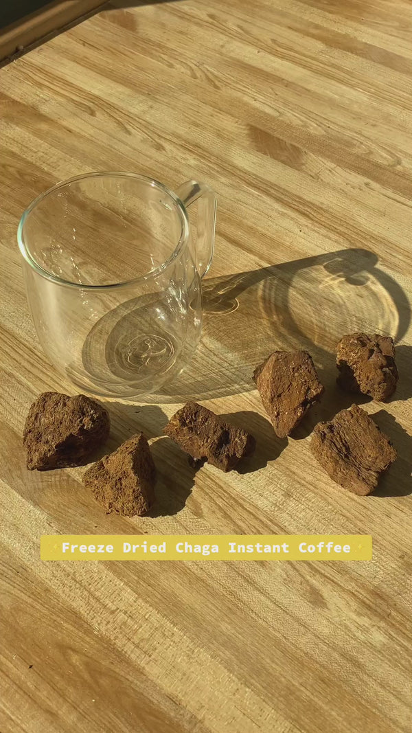 Freeze Dried Chaga Instant Coffee