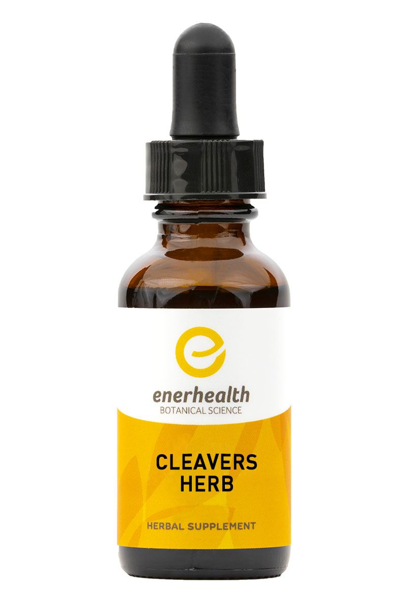 Cleavers Extract - EnerHealth Botanicals