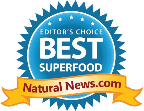 Enerfood Organic Green Superfood Powder - EnerHealth Botanicals