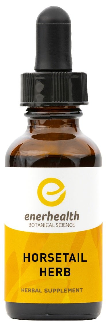 Horsetail Tincture – EnerHealth Botanicals