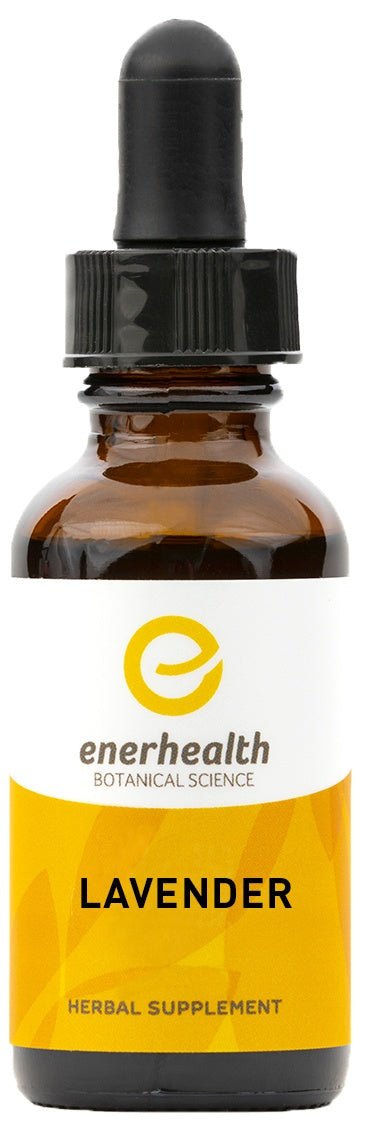 Lavender Extract - EnerHealth Botanicals