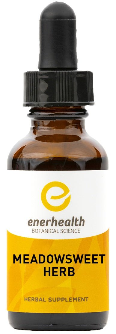 Meadowsweet Herb Extract - EnerHealth Botanicals