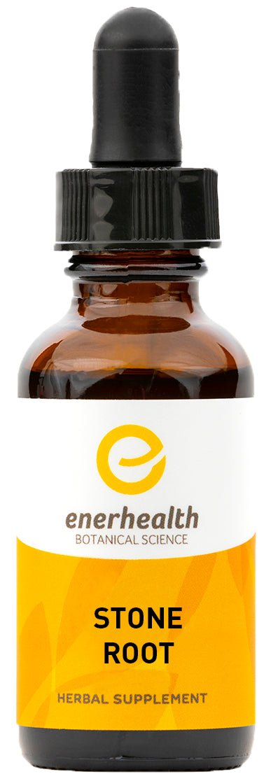 Stone Root Extract - EnerHealth Botanicals