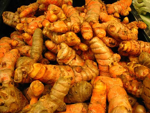 Turmeric Root Extract - EnerHealth Botanicals